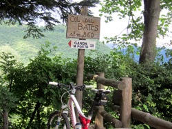 l' Acacia